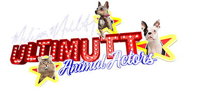 Ultimutt Animal Actors
