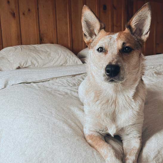 Rosie