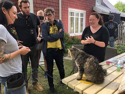 Elite Animal Training