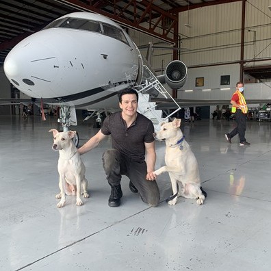 Animal Actors Gallery