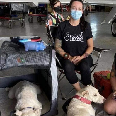 Animal Actors Gallery