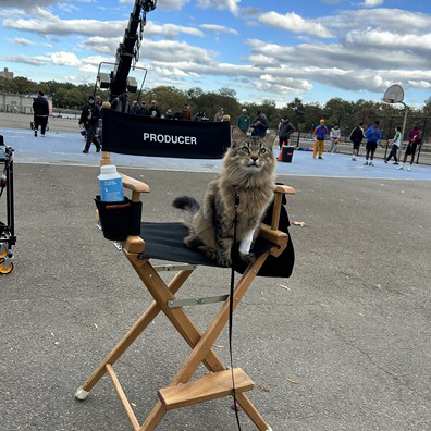 Animal Actors Gallery