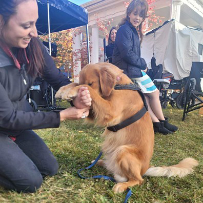 Animal Actors Gallery