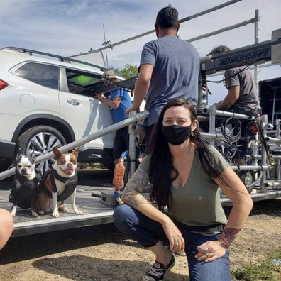 Animal Actors Gallery