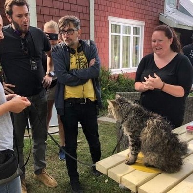 Animal Actors Gallery