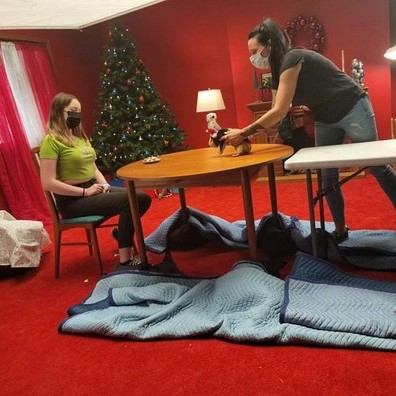 Animal Actors Gallery